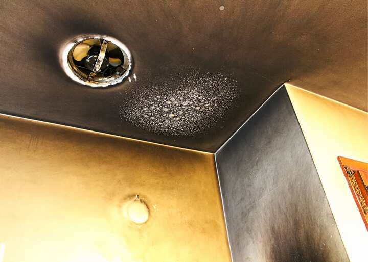 smoke damage holt mi